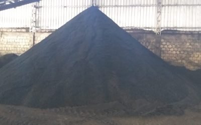 WhatsApp Image 2025-12-26 at 18.18.03